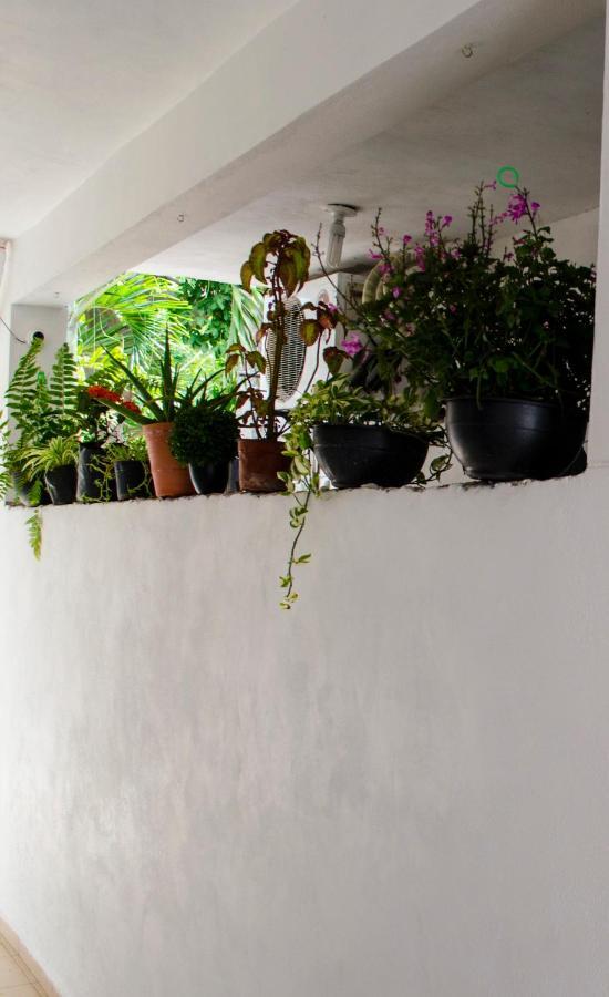 Casa Mar Appartement Playa del Carmen Buitenkant foto